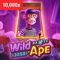 Đội ngũ lãnh đạo zet bet